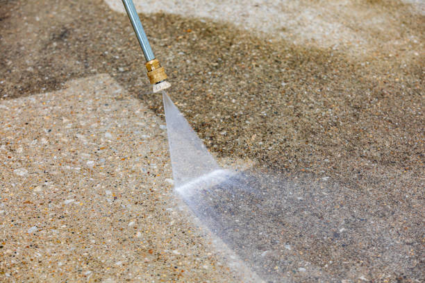 Best Roof Washing  in Dennison, OH